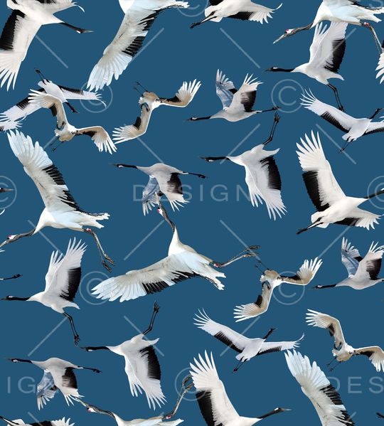 丹顶鹤印花华亿平台图片