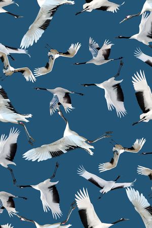 丹顶鹤印花华亿平台图片