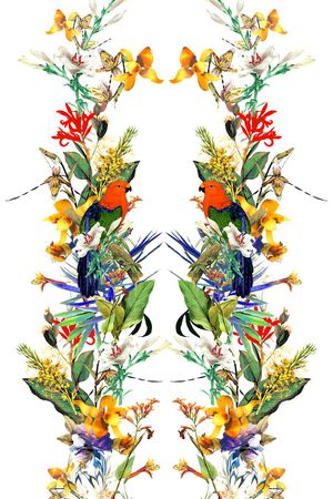 芭蕉叶印花华亿平台图片