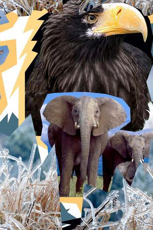 创意印花华亿平台图片