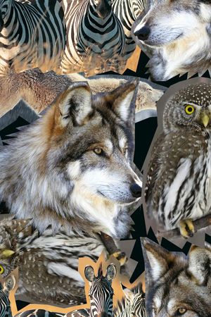 创意印花华亿平台图片