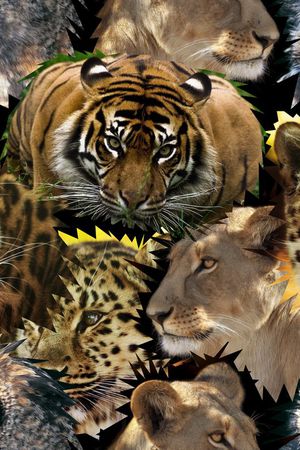 t恤华亿平台印花华亿平台图片