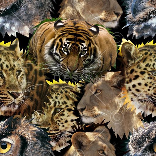 t恤华亿平台印花华亿平台图片