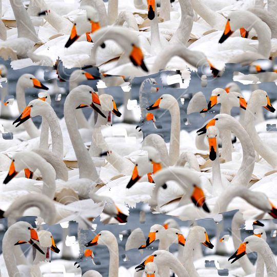 潮流印花华亿平台图片