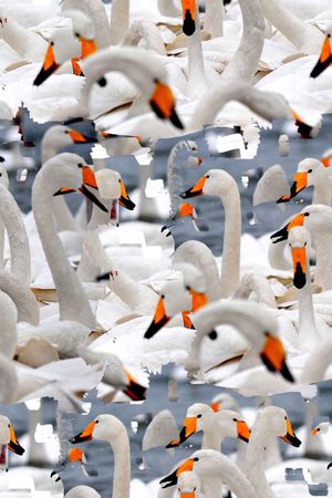潮流印花华亿平台图片