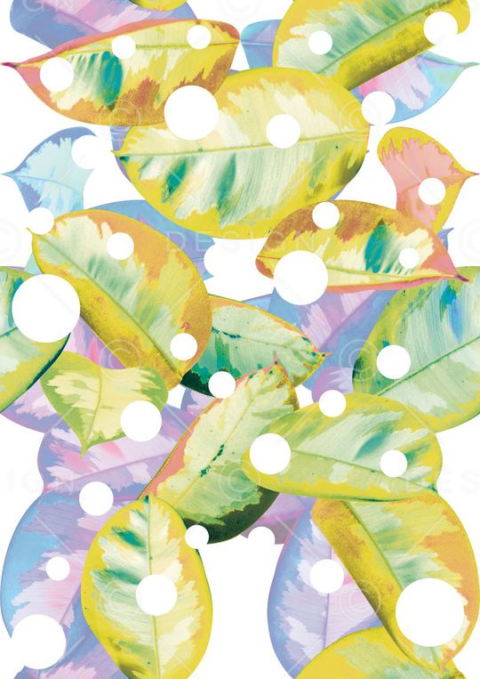 波点印花华亿平台图片