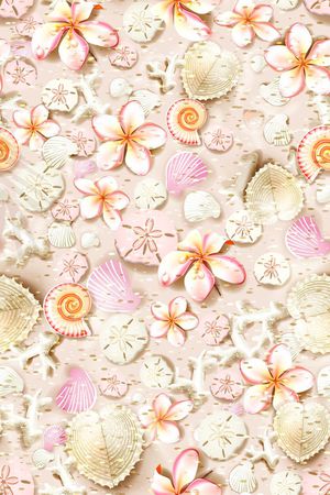 贝壳印花华亿平台图片