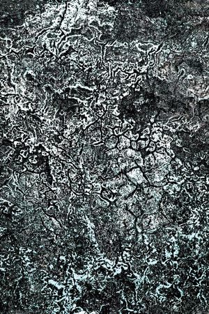 潮酷印花华亿平台图片