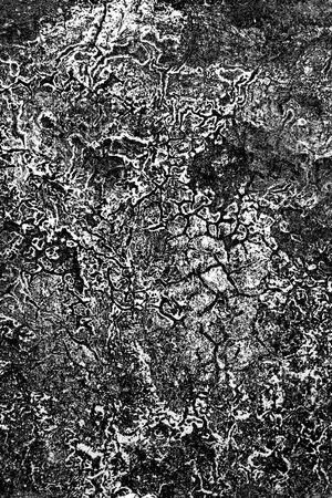 潮酷印花华亿平台图片