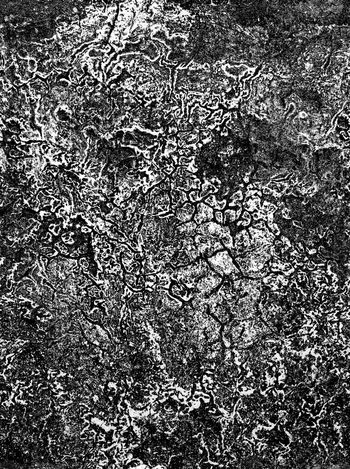 453527-潮酷纹理古旧断纹龟裂墙壁长颈鹿纹艺