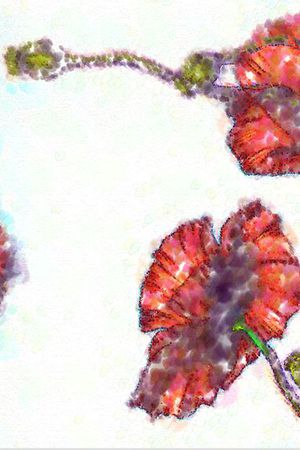 抽象艺术印花华亿平台图片