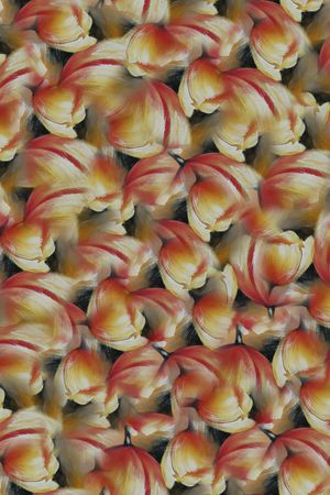 黑底印花华亿平台图片