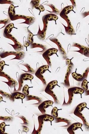 时尚印花华亿平台图片