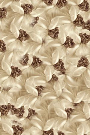 米色印花华亿平台图片