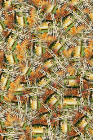 秋意印花华亿平台图片