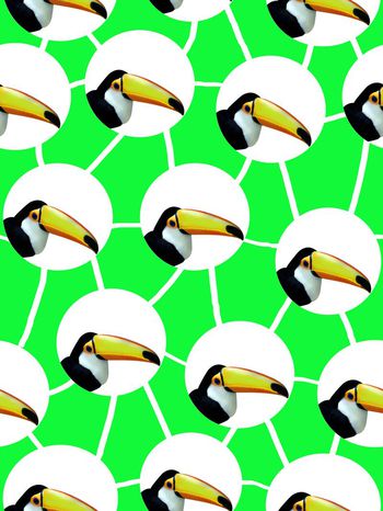 453933-清新自然啄木鸟头像波点串联女装衬衣