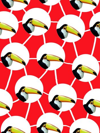 453934-清新自然啄木鸟头像波点串联女装衬衣