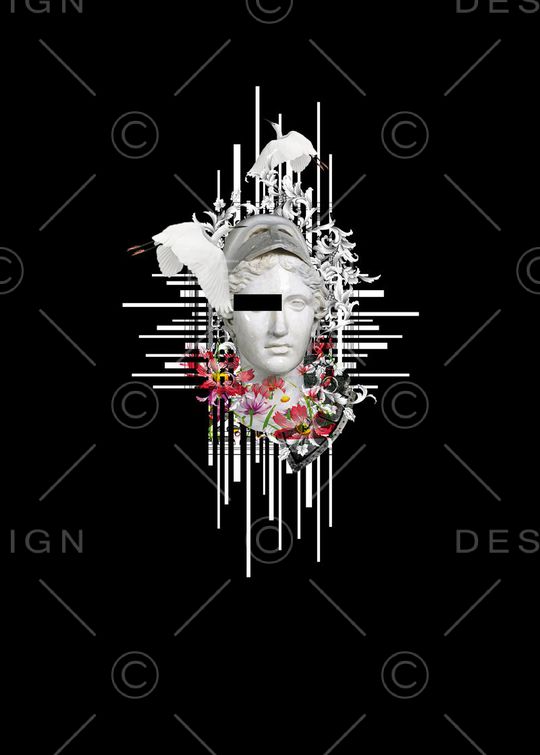 白鹭印花华亿平台图片