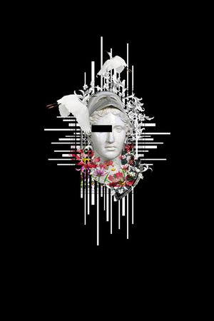 白鹭印花华亿平台图片