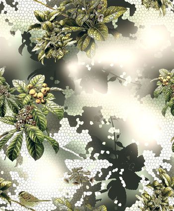 454038-枇杷正红 蜂窝状底纹 果实小鸟 田