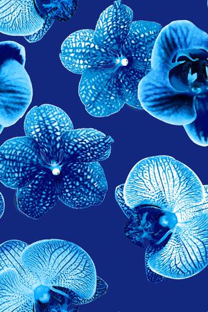 朵花拼贴印花华亿平台图片