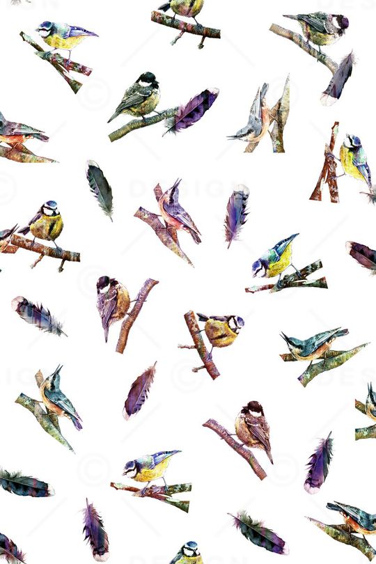 手绘小鸟印花华亿平台图片