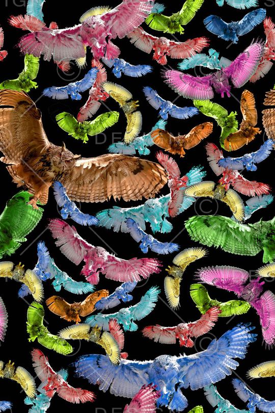 流行元素印花华亿平台图片