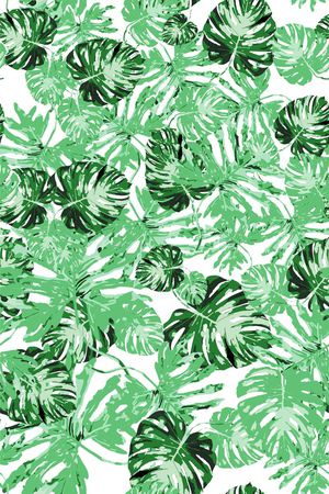 热带风情印花华亿平台图片