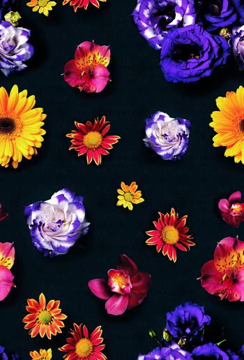 复古印花华亿平台图片