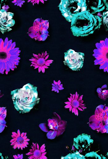 454502-高清大花鲜艳鲜花