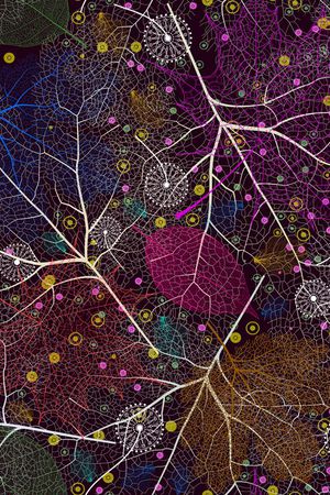 线条印花华亿平台图片