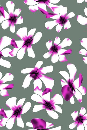 现代印花华亿平台图片