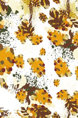 阳光印花华亿平台图片