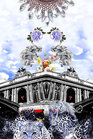 豹子印花华亿平台图片