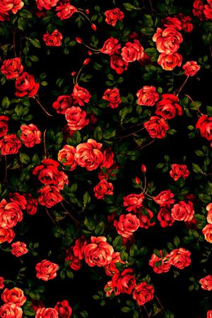 小清新印花华亿平台图片