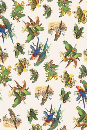 动物印花华亿平台图片