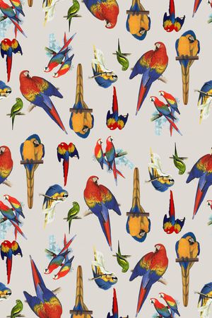 流行时尚印花华亿平台图片