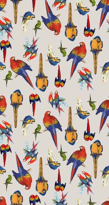 454742-流行时尚动物鹦鹉满版数码印花1