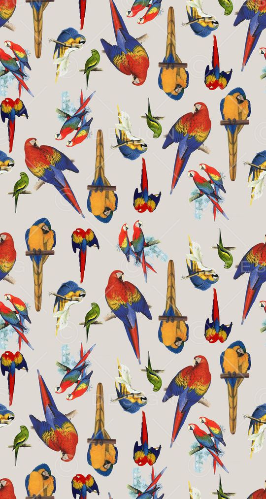 流行时尚印花华亿平台图片