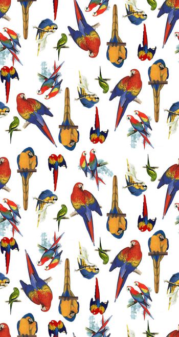 454743-流行时尚动物鹦鹉满版数码印花1