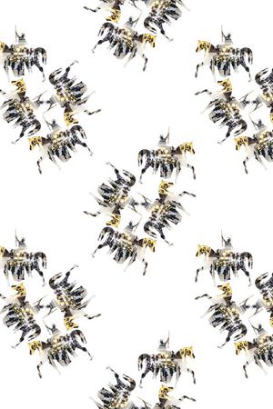 剪影印花华亿平台图片