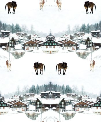 454917-时尚潮流雪地骏马