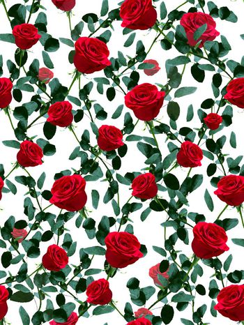 复古油画印花华亿平台图片