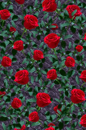 复古油画印花华亿平台图片