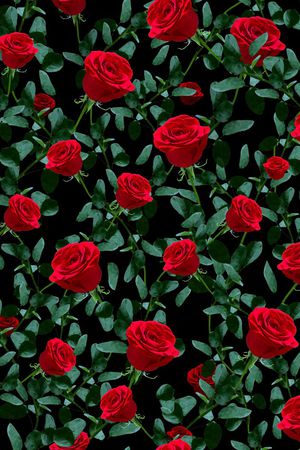 复古油画印花华亿平台图片