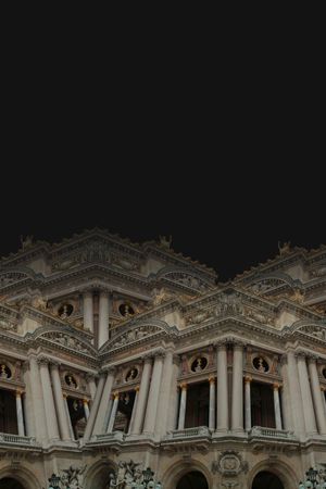 巴黎印花华亿平台图片