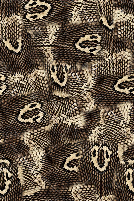 大牌时尚印花华亿平台图片