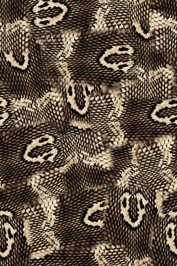 455039-蛇皮花纹