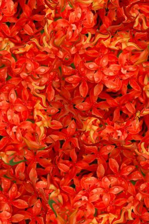 潮流印花华亿平台图片