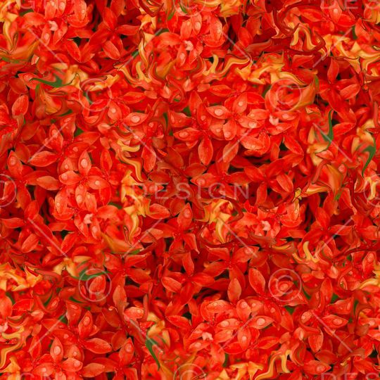 潮流印花华亿平台图片